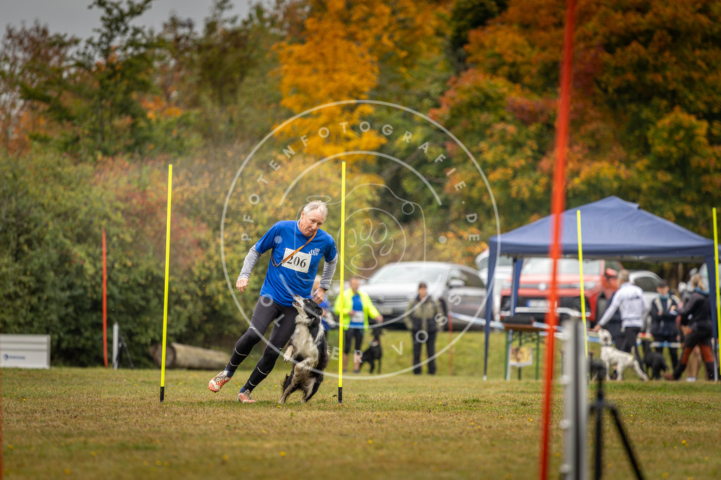 Pfotenfotografie_DV3A2126 | Hundefotografie, Tierfotograf, Pfotenfotografie, Fotoshooting Hund, Hunde Portrait, Hundesport, Hundeportraits, Heideshooting, Hunde, Sportfotograf, Hundefotograf, Turnierhundsport, THS,  - Realisiert mit Pictrs.com