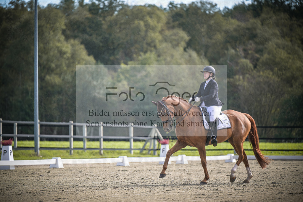 DOS_1157 | Entdecke hochwertige Reitturnierfotos von Foto Oger. Professionell, emotional und authentisch – jetzt Lieblingsmomente im Shop bestellen.Deutschlandweite Turnierfotografie. - Realisiert mit Pictrs.com