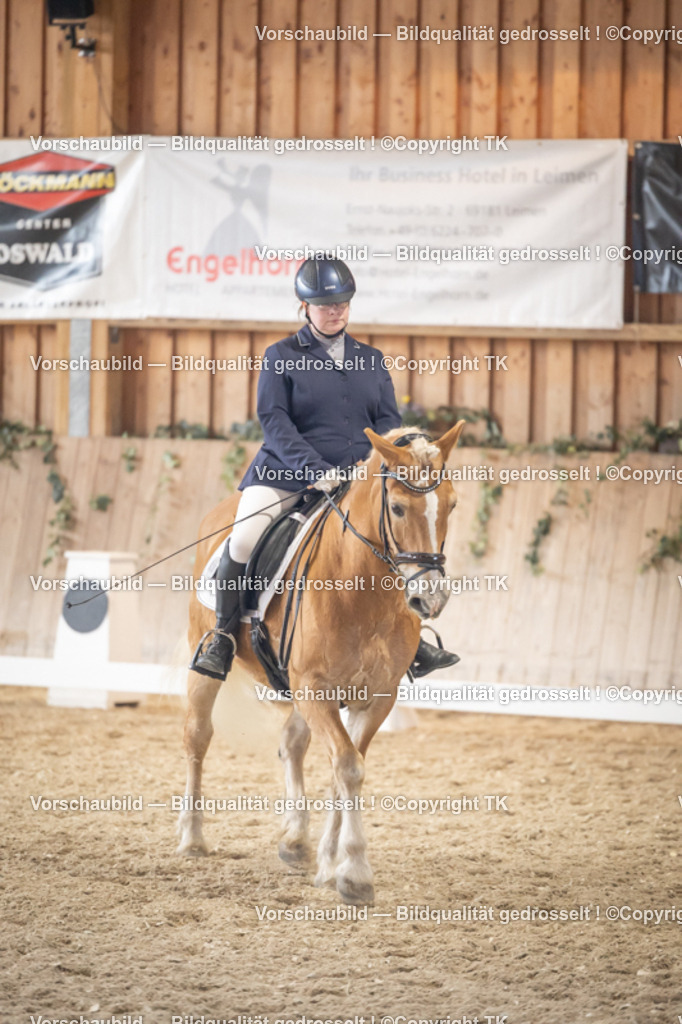 _D5A2444 | Emotionale Pferde- & People-Fotografie rund um Heidelberg, Leimen & Umgebung. Natürliche Fotos von Pferd, Mensch & Familie. Jetzt Termin sichern!