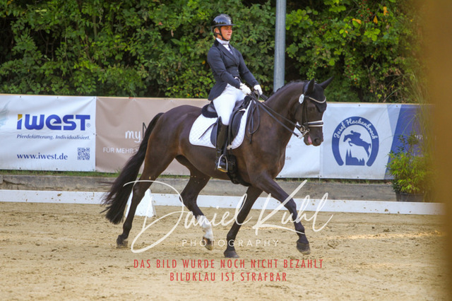 DKP41537 | Turniersportfotografie; Pferdefotografie; Dressurfotografie