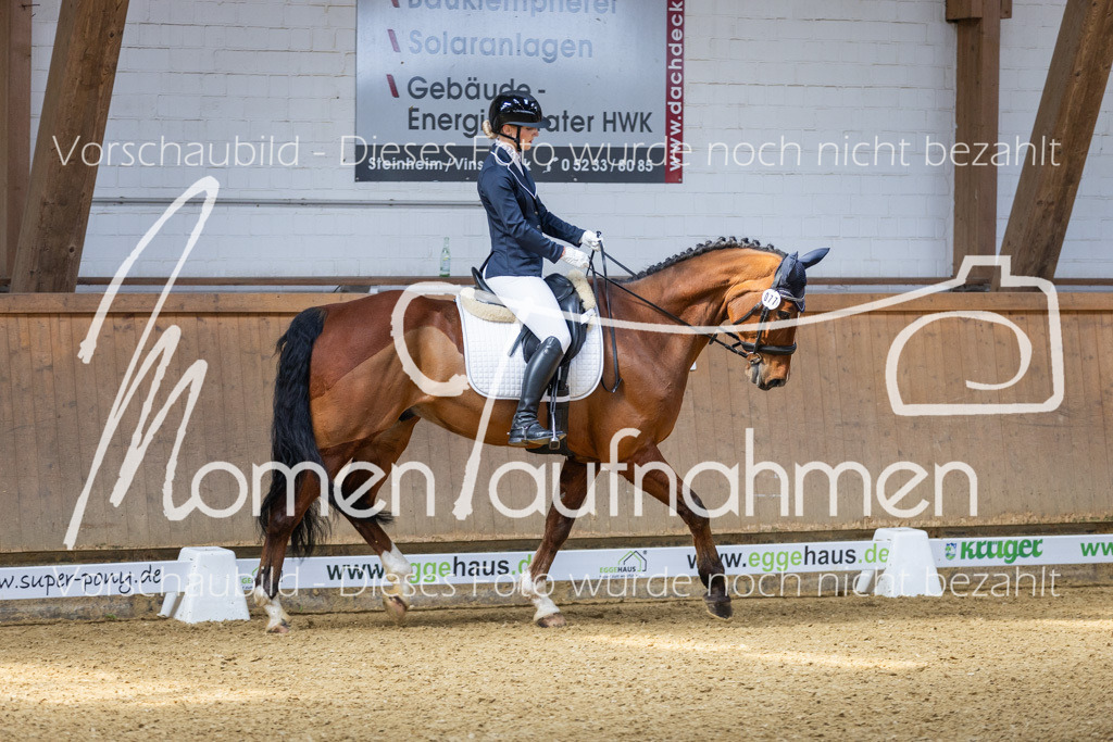 Sth-LPO25-A-Dr-040 | MomenTaufnahmen Pferdesportfotos