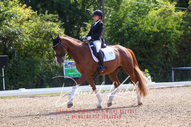 DKP41148 | Turniersportfotografie; Pferdefotografie; Dressurfotografie