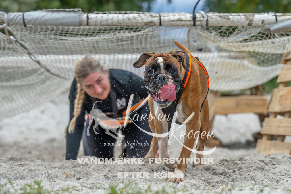 1022_ZZ93798 | kk-dogfotos