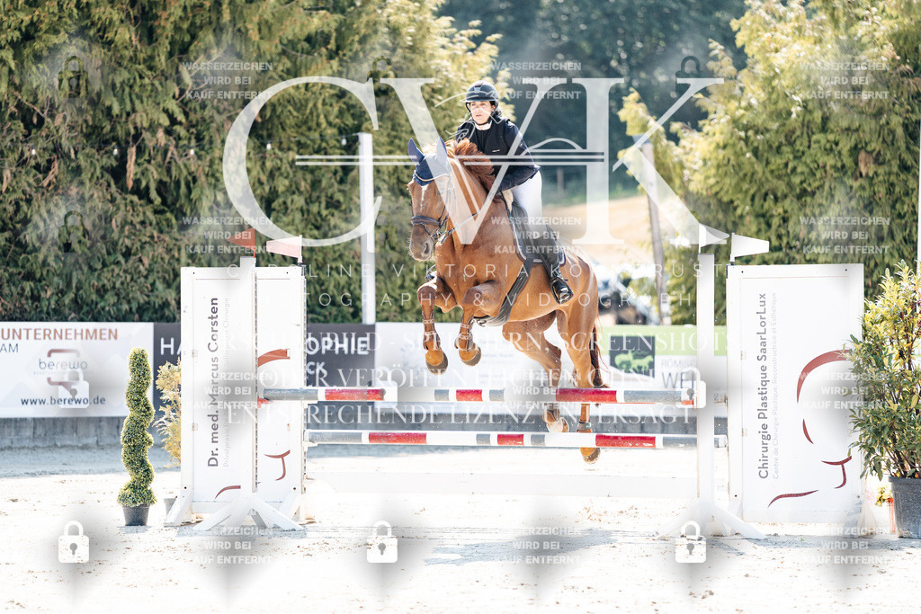 CK908406 | Turnierfotografie Pferdefotografie Trier Rheinland-Pfalz Pferdesport Reitsport Tierfotografie Sportfotografie Pferdevideo Pferdevideografie Equestrianvideography equestrianphotography  - Realisiert mit Pictrs.com