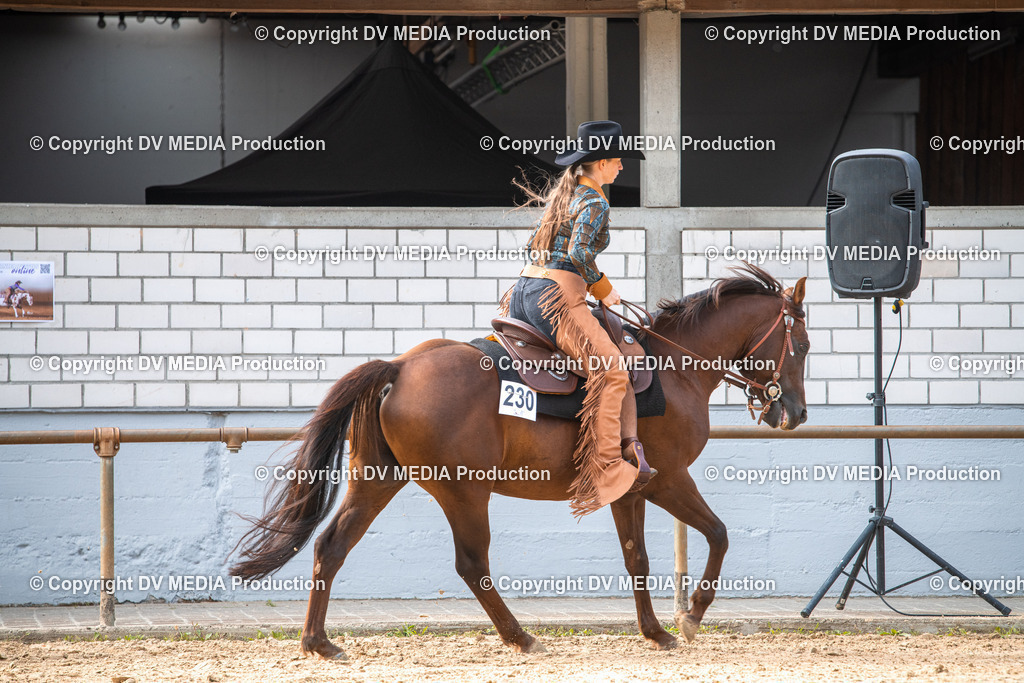 EWP_5681 | dv-media-shop - Realisiert mit Pictrs.com