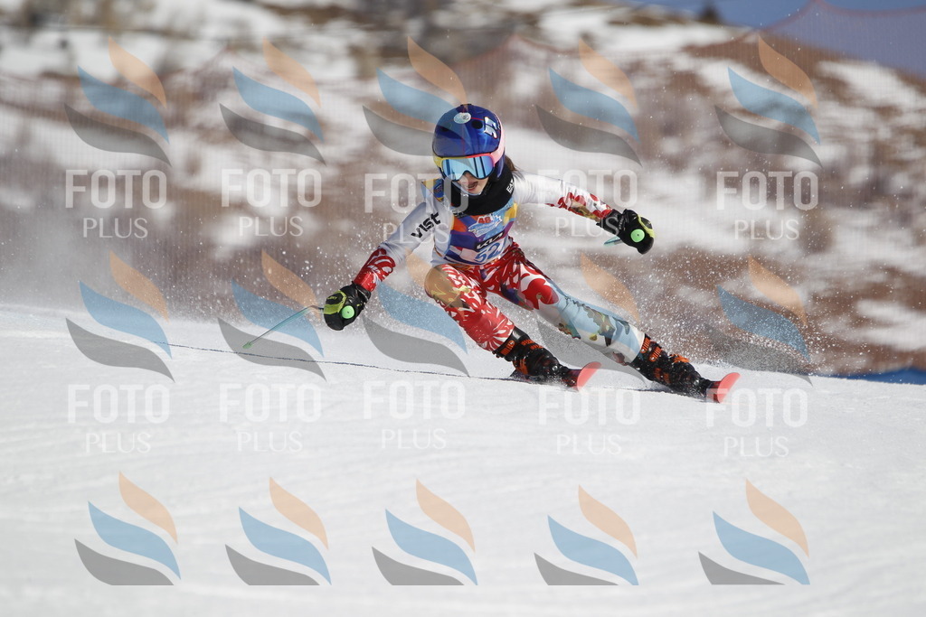 _U3G9497 | holidayphoto