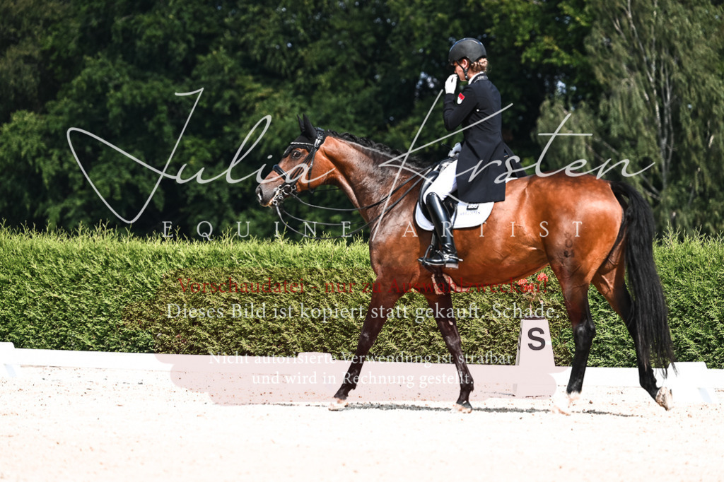 DSC_3120 | Pferde- und Turnierfotografie in Westsachsen. Pferdeportraits, Auftragszeichnungen und intuitive Kunst.
