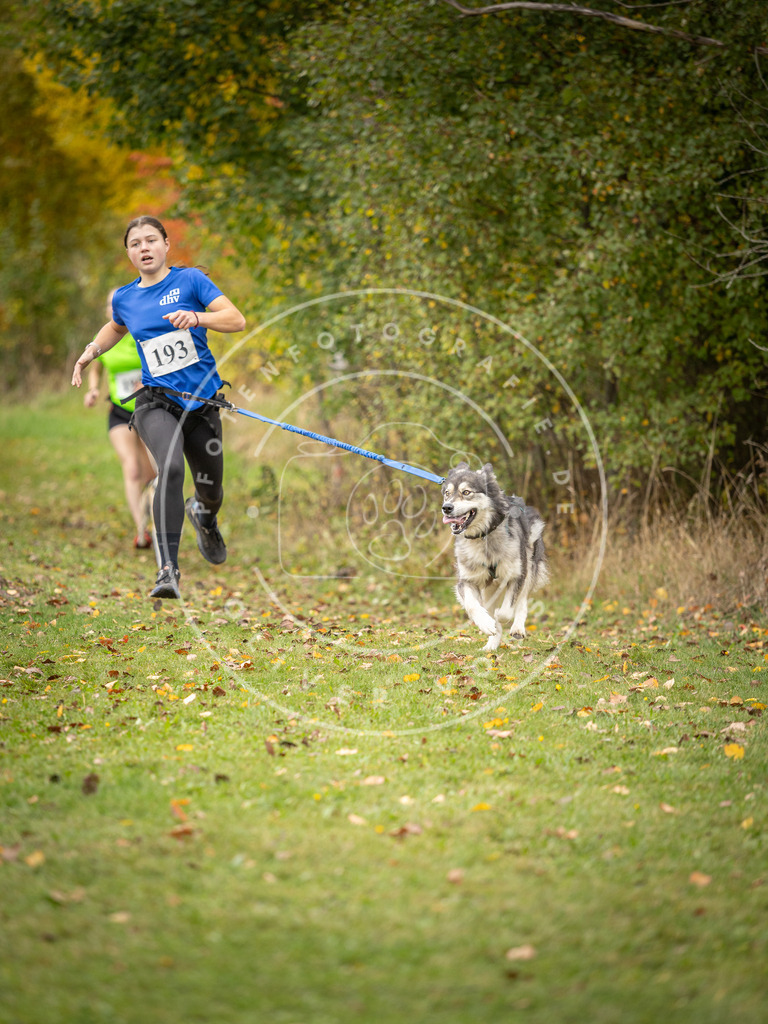 Pfotenfotografie_DV3A3891 | Hundefotografie, Tierfotograf, Pfotenfotografie, Fotoshooting Hund, Hunde Portrait, Hundesport, Hundeportraits, Heideshooting, Hunde, Sportfotograf, Hundefotograf, Turnierhundsport, THS,  - Realisiert mit Pictrs.com