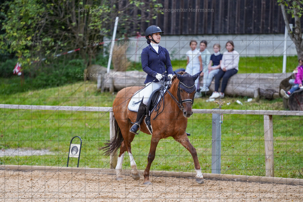 20231007-SN_00782 | Professionelle Turnier- und Reitsportfotografie - mit dem Finger am Auslöser. Pferdebilder aus dem Reitsport von den Turnierfotografen  Bayern , Pferdefotograf Bayern, Pferdeshooting Turnierbilder, Hochzeitsfotograf, Eventfotograf, Hochzeitsbilder