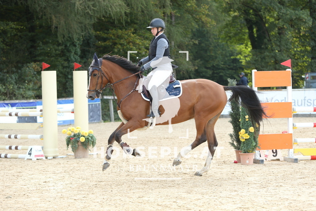DL2Q6945 | Willkommen bei Brunnmayr - Design & Fotografie – Ihrem Spezialisten für Reitturniere und Pferdeveranstaltungen in Oberösterreich, Salzburg und Bayern! Seit über 17 Jahren sind wir leidenschaftlich dabei.