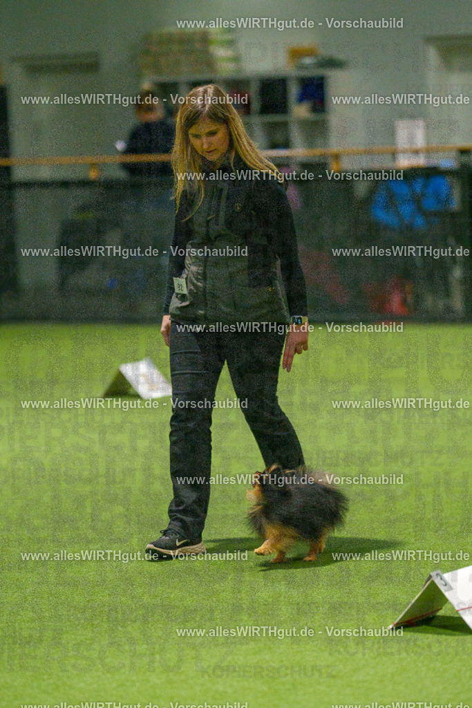 7R508924 | Professionelle Tierfotografie in Mönchengladbach von Daniel Wirth (allesWIRTHgut). Liebevolle & natürliche Bilder von Hunden & Katzen für unvergessliche Erinnerungen.