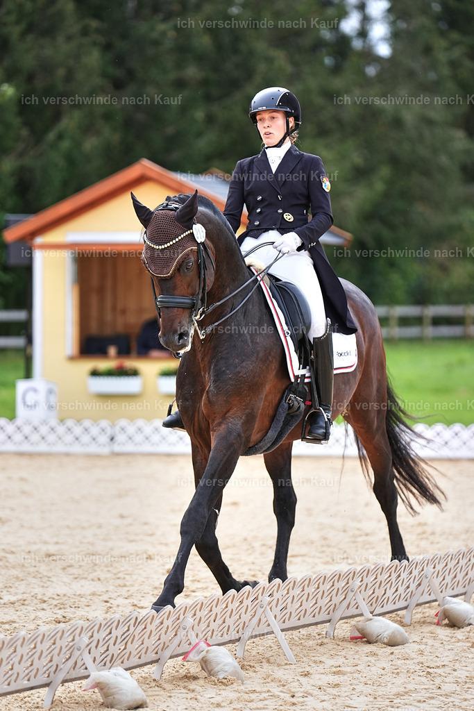 11-215-Dressur S___-Marixx-1751 | working equitationturnier fotograf videograf stoibphotography marixx film working equitation deutschland reitsport turnierfotografie eventfotografie equestrian events