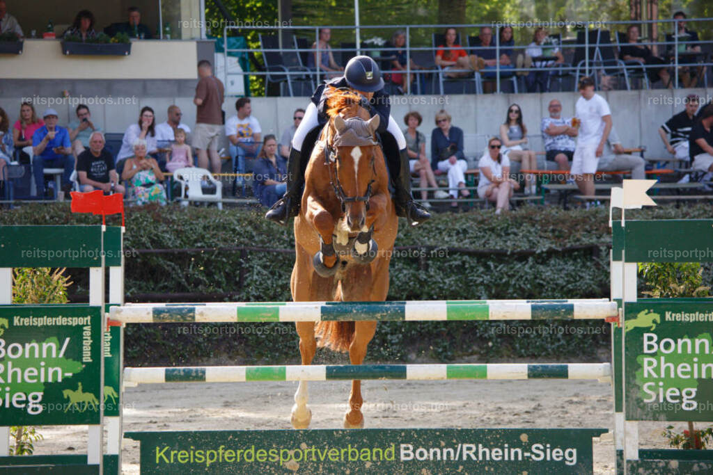 JHE_1401 | JoYa Fotografie - Realisiert mit Pictrs.com