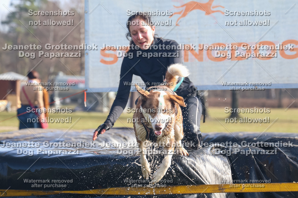 Dog Paparazzi - Strongdog North Mrz26-830 | Dog Paparazzi Jeanette Grottendiek Fotografie & Videografie - Realisiert mit Pictrs.com