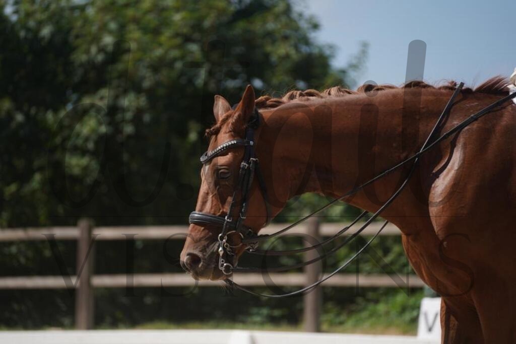 tgbhsonntag (874) | d.tail Visions - Shop - Realisiert mit Pictrs.com