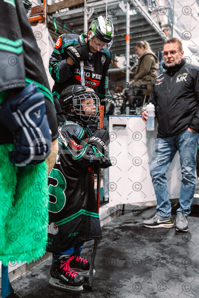 Alligators_vs_Stuttgart_16_11_2025-24 | Höchstadt Alligators Fotogalerie: Eishockey-Action aus Franken. Professionelle Spielfotos, Portraits & Stadionbilder zum Download. Jetzt entdecken! - Realisiert mit Pictrs.com