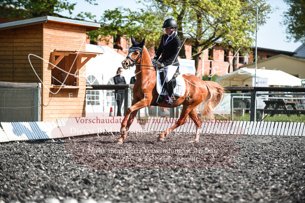 DSC_8433 | Pferde- und Turnierfotografie in Westsachsen. Pferdeportraits, Auftragszeichnungen und intuitive Kunst.