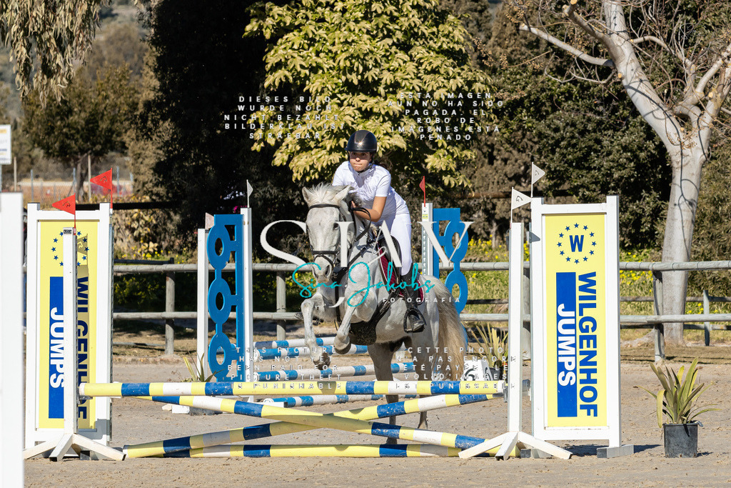 IMG_8354 | s-jay-photography - Realisiert mit Pictrs.com