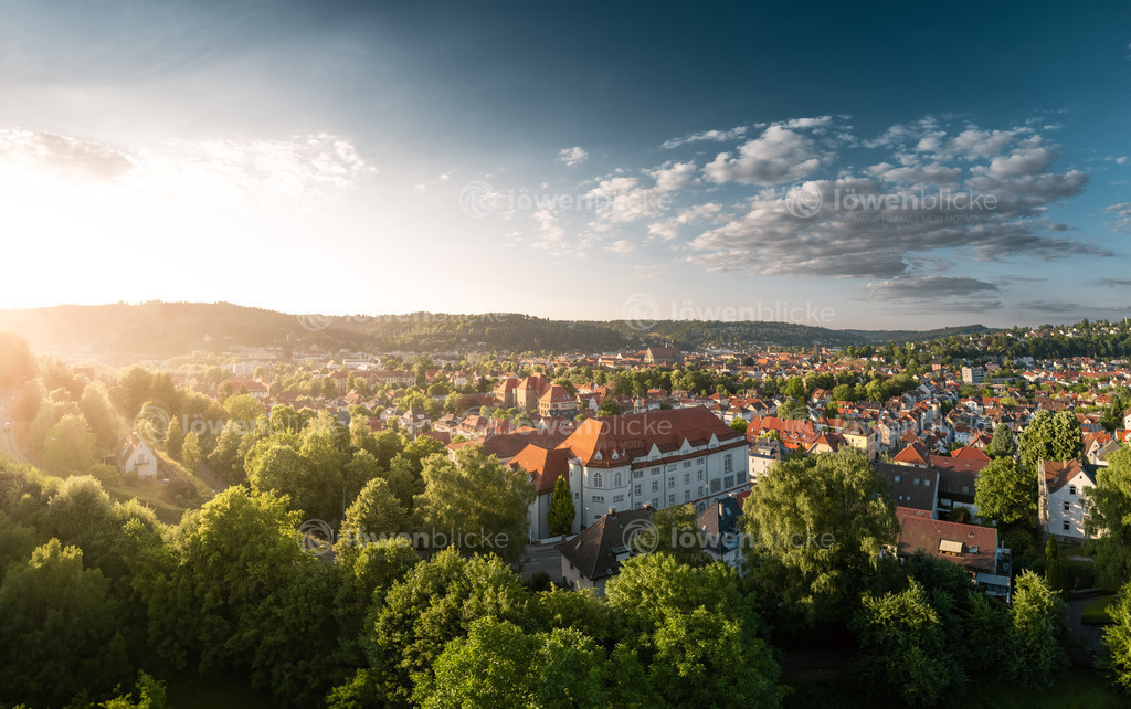 Schwäbisch Gmünd im Sommer | löwenblicke | shop