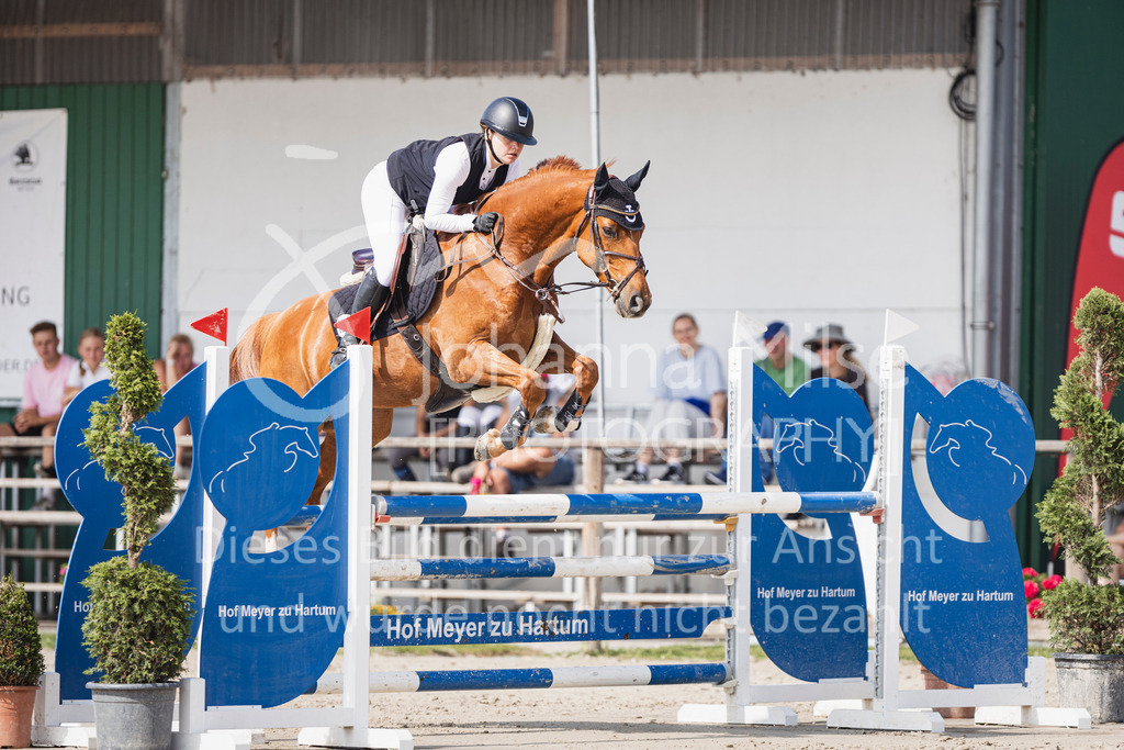 250629_PfSpTa_Stil-L2-337 | Deine schönsten Turniermomente als professionelle Fotos! Entdecke hochwertige Pferdesport-Fotografie im Online-Shop. Jetzt Fotos finden & bestellen!