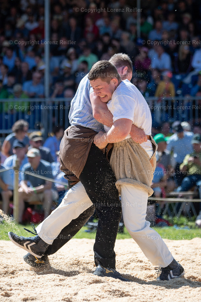 Schwingen -  St.Galler Kantonal 2024 | Grabs, 26.5.24, Schwingen - St.Galler Kantonal.