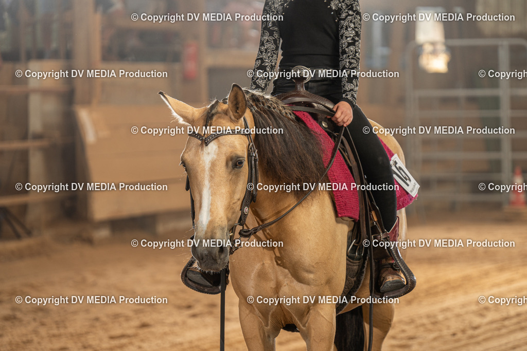 NID02833 | dv-media-shop - Realisiert mit Pictrs.com