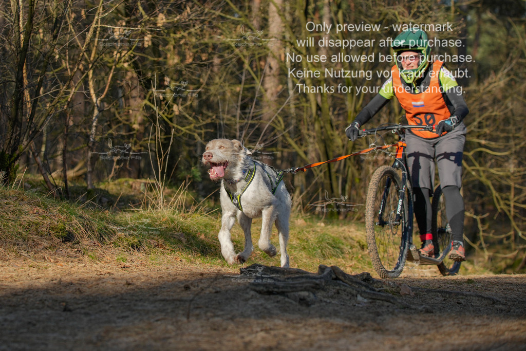 Sa_Scooter-221 | stephaniefillaphotographie - Realisiert mit Pictrs.com