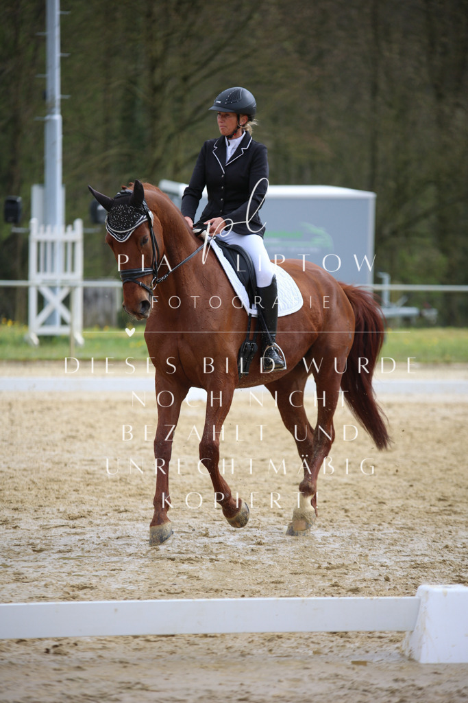 IMGT5231 | pl-fotografie