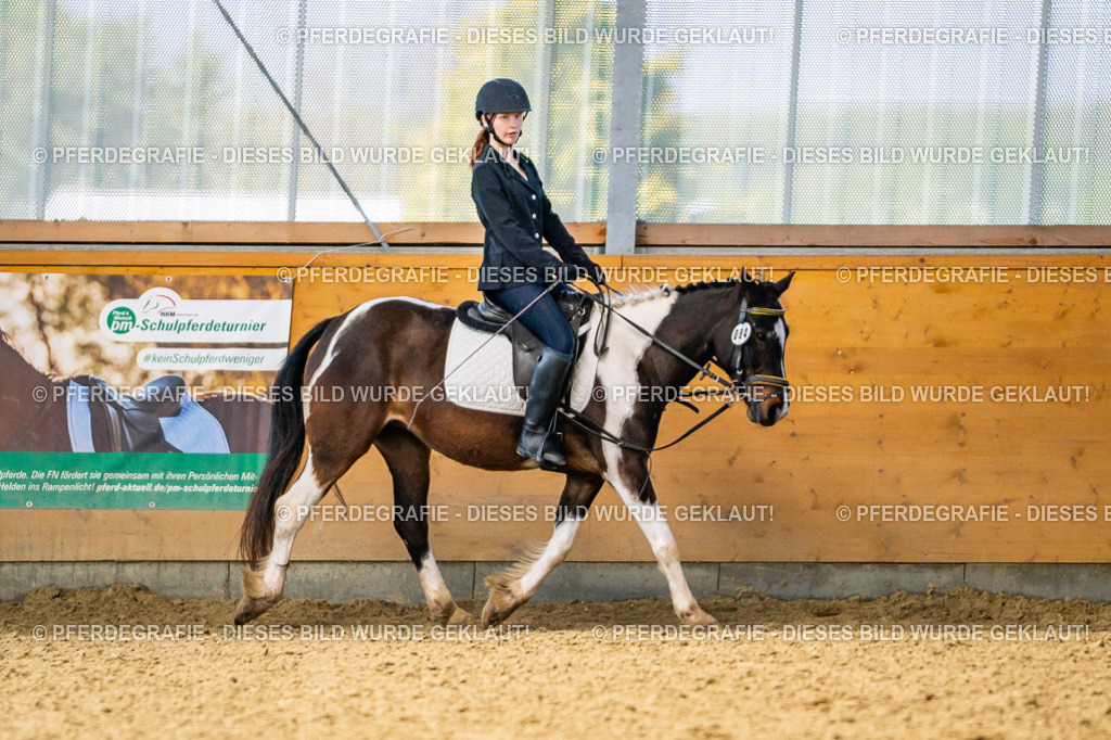 DSC03653 | Pferdegrafie