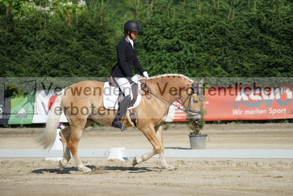 DSC01349 | equestrian-live-com