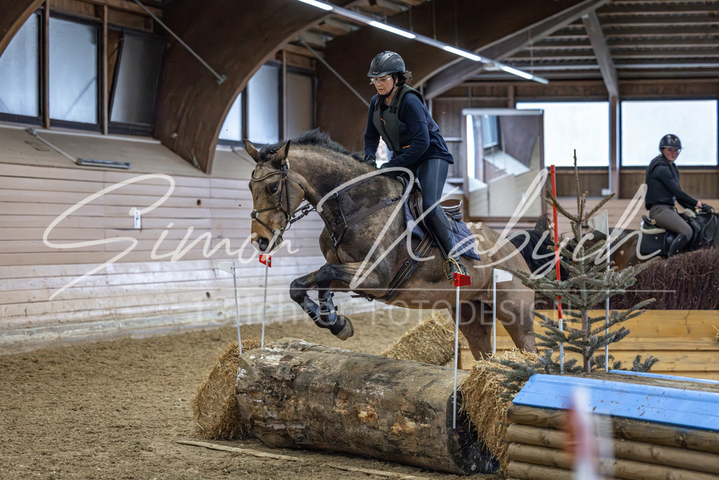 20260222-_3LI2009 | Tierfotografie Pferde, Hunde, Katzen, Haustiere.
Turnierfotografie Reitturniere, Reiten, Springreiten, Dressur in Hanau, dem Main-Kinzig-Kreis und dem Rhein-Main- Gebiet um Frankfurt