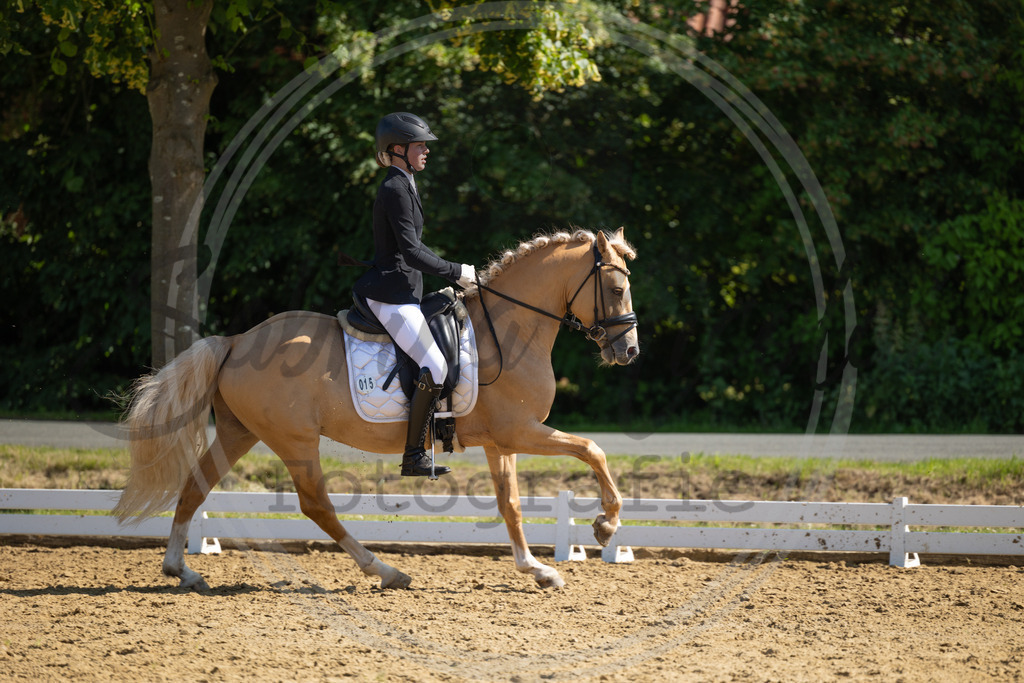 994A3137 | sabrinanicolaifotografie - Realisiert mit Pictrs.com