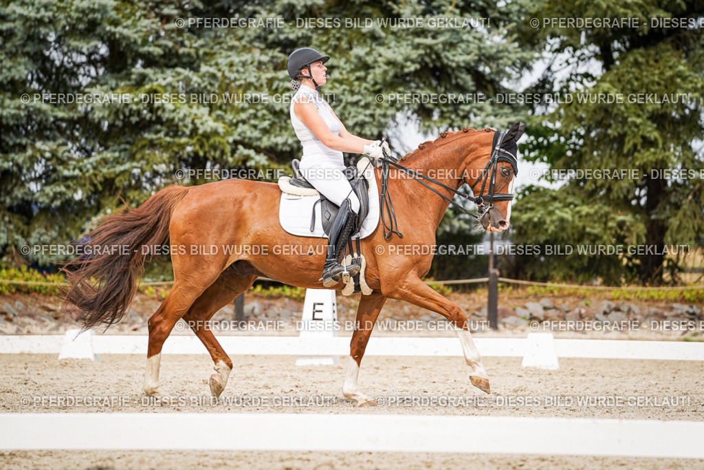 DSC07297 | Pferdegrafie