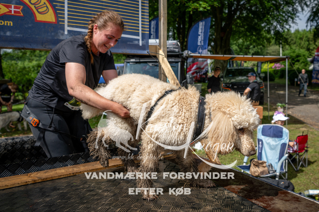 1042_ZZ91798 | kk-dogfotos