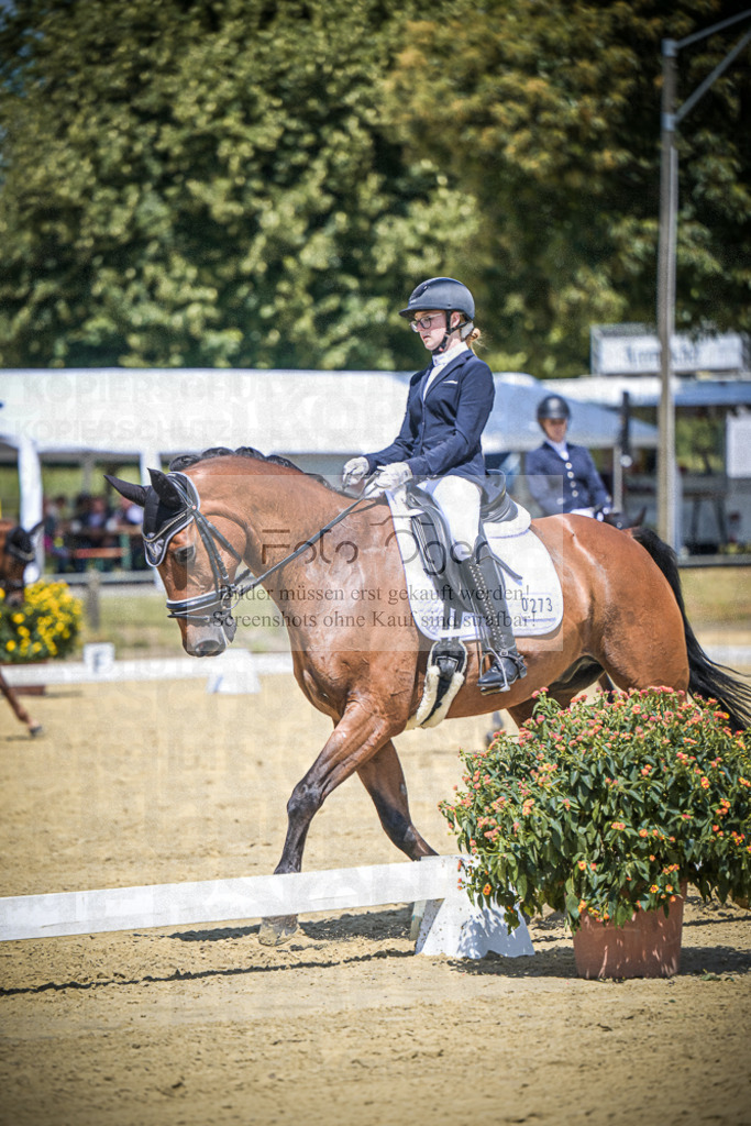 DOS_5275 | Entdecke hochwertige Reitturnierfotos von Foto Oger. Professionell, emotional und authentisch – jetzt Lieblingsmomente im Shop bestellen.Deutschlandweite Turnierfotografie. - Realisiert mit Pictrs.com