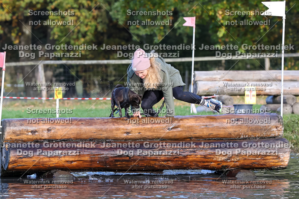 Dog Paparazzi - Strongdog 10-25-8588 | Dog Paparazzi Jeanette Grottendiek Fotografie & Videografie - Realisiert mit Pictrs.com