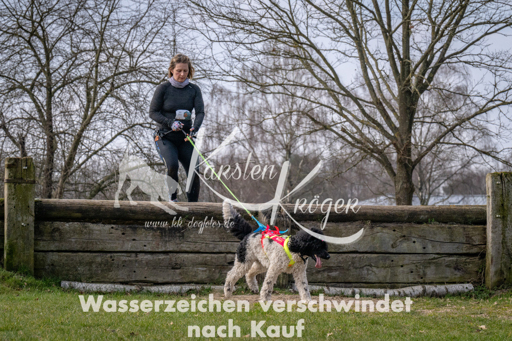 _ZZ90789 | kk-dogfotos