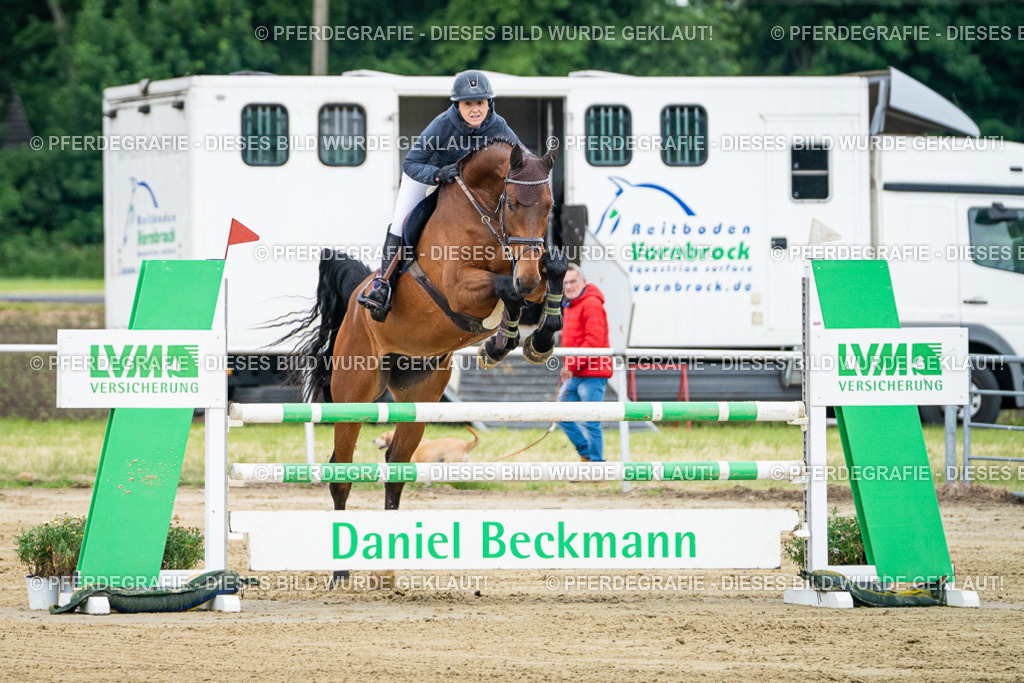 DSC05590 | Pferdegrafie