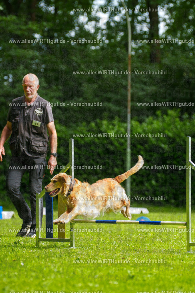 @allesWIRTHgut_Tierfotografie - www.allesWIRTHgut.de - 093134-7R507253 | Professionelle Tierfotografie in Mönchengladbach von Daniel Wirth (allesWIRTHgut). Liebevolle & natürliche Bilder von Hunden & Katzen für unvergessliche Erinnerungen.