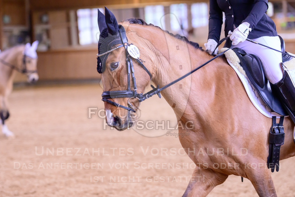 11042026-Mammendorf-Prfg25-0230 | Fokus Hufschlag Fotografie - Realisiert mit Pictrs.com