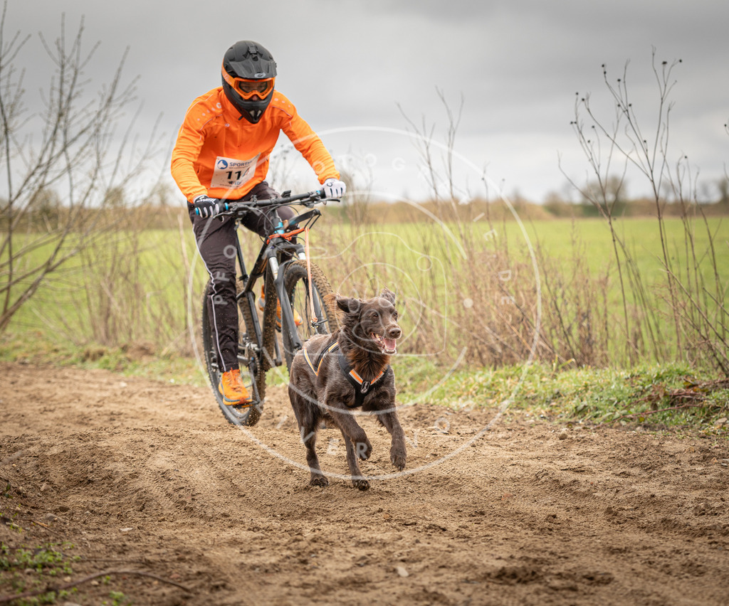 DV3A0822 | Hundefotografie, Tierfotograf, Pfotenfotografie, Fotoshooting Hund, Hunde Portrait, Hundesport, Hundeportraits, Heideshooting, Hunde, Sportfotograf, Hundefotograf, Turnierhundsport, THS,  - Realisiert mit Pictrs.com