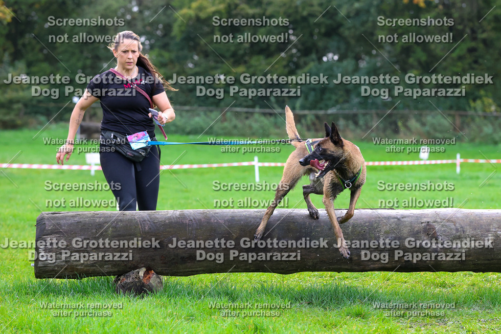 Dog Paparazzi -  SD1026-2116 | Dog Paparazzi Jeanette Grottendiek Fotografie & Videografie - Realisiert mit Pictrs.com