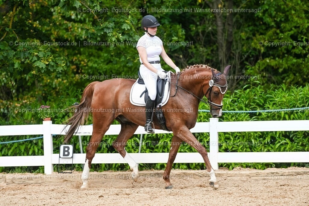 20230715_02_Dressurreiterprüfung Kl.L_0248 | equistock
