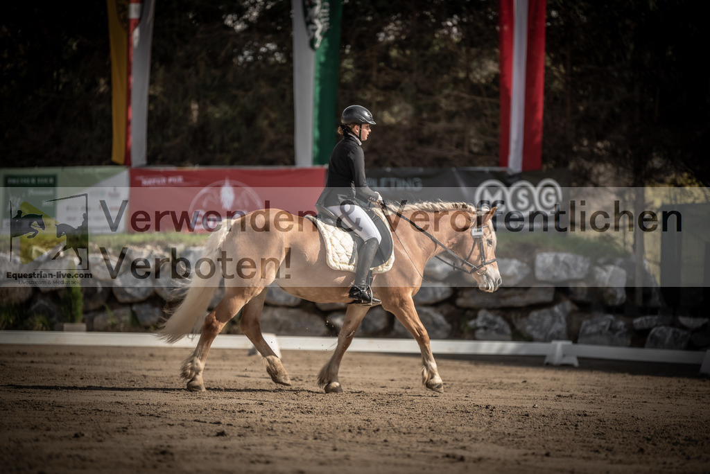 DSC_8760 | equestrian-live-com
