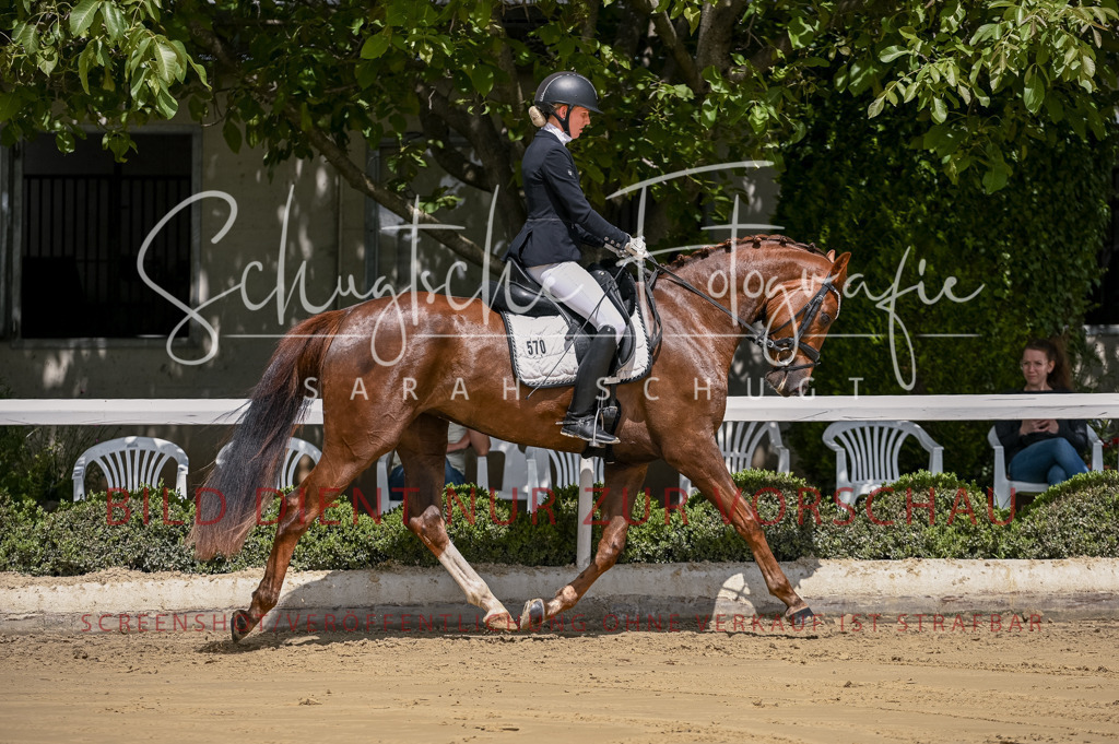 Schugtsche-Aluta25-48.Reitpferfdeprf.-84 | Schugtsche Fotografie - Realisiert mit Pictrs.com