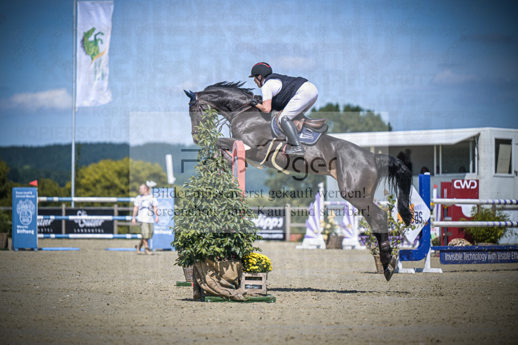 DOS_3120 | Entdecke hochwertige Reitturnierfotos von Foto Oger. Professionell, emotional und authentisch – jetzt Lieblingsmomente im Shop bestellen.Deutschlandweite Turnierfotografie. - Realisiert mit Pictrs.com