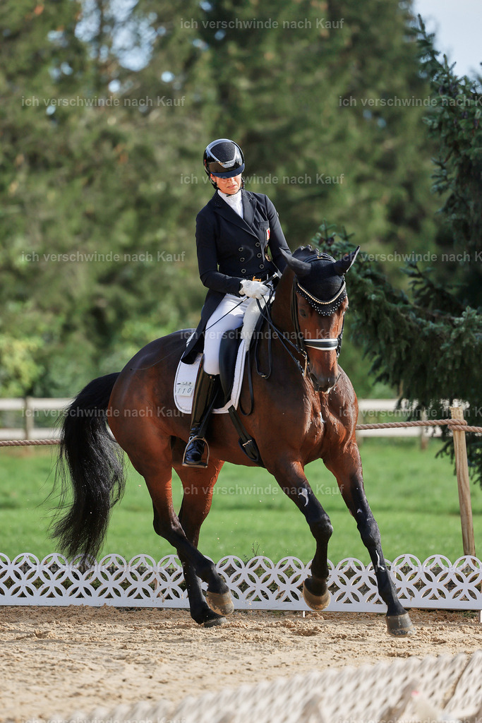 13-110-S___ -StoibPH-6945 | working equitationturnier fotograf videograf stoibphotography marixx film working equitation deutschland reitsport turnierfotografie eventfotografie equestrian events