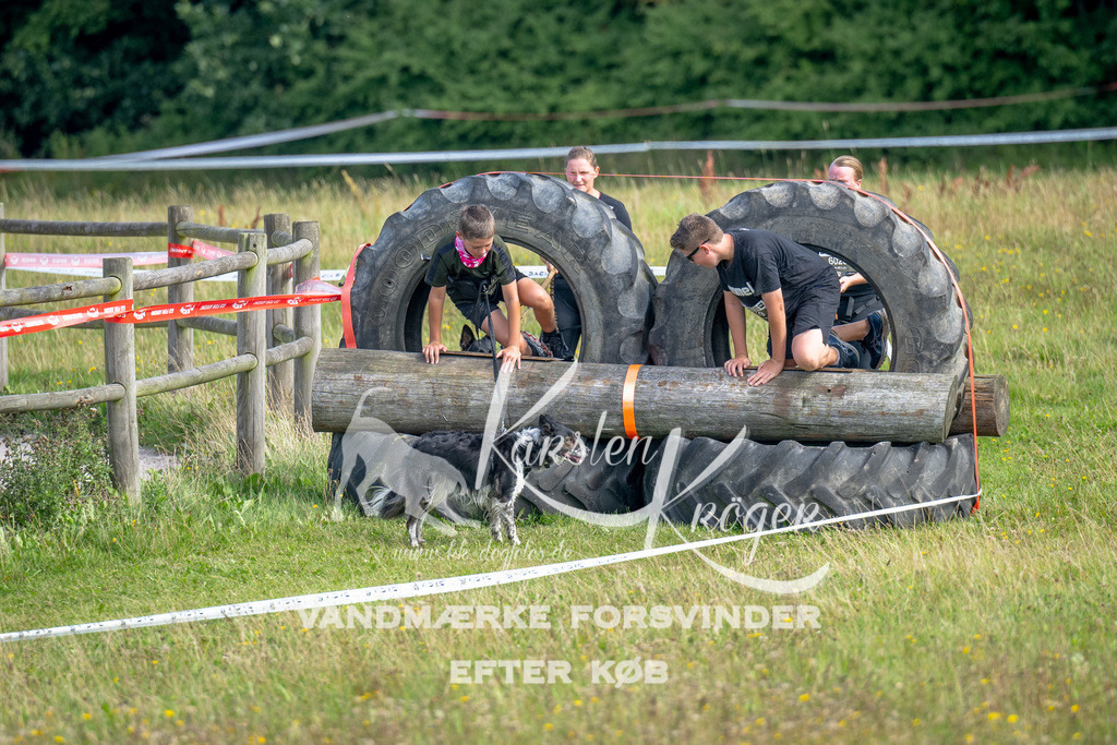 1219_ZZ93774 | kk-dogfotos