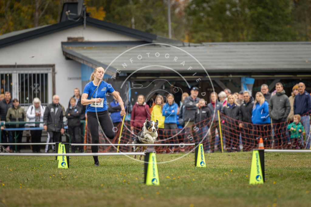 Pfotenfotografie_DV3A3208 | Hundefotografie, Tierfotograf, Pfotenfotografie, Fotoshooting Hund, Hunde Portrait, Hundesport, Hundeportraits, Heideshooting, Hunde, Sportfotograf, Hundefotograf, Turnierhundsport, THS,  - Realisiert mit Pictrs.com