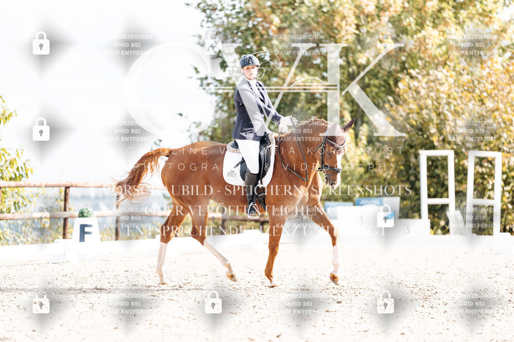 CK901829 | Turnierfotografie Pferdefotografie Trier Rheinland-Pfalz Pferdesport Reitsport Tierfotografie Sportfotografie Pferdevideo Pferdevideografie Equestrianvideography equestrianphotography  - Realisiert mit Pictrs.com